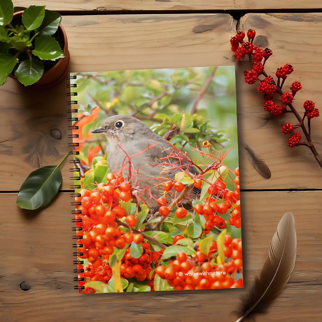 Cuaderno El Solitario de Townsend en la Piráacantha (Townsend's Solitaire on the Pyracantha Shrub Journal Cover Photo)