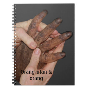Cuaderno El Special da el orangután