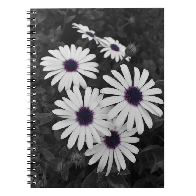 Cuaderno El sutil contraste de la naturaleza (Frente)