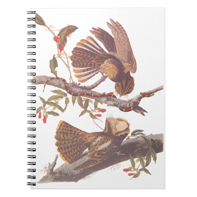 Cuaderno El tarro de viudas de Chuck Will con serpiente de  (Frente)