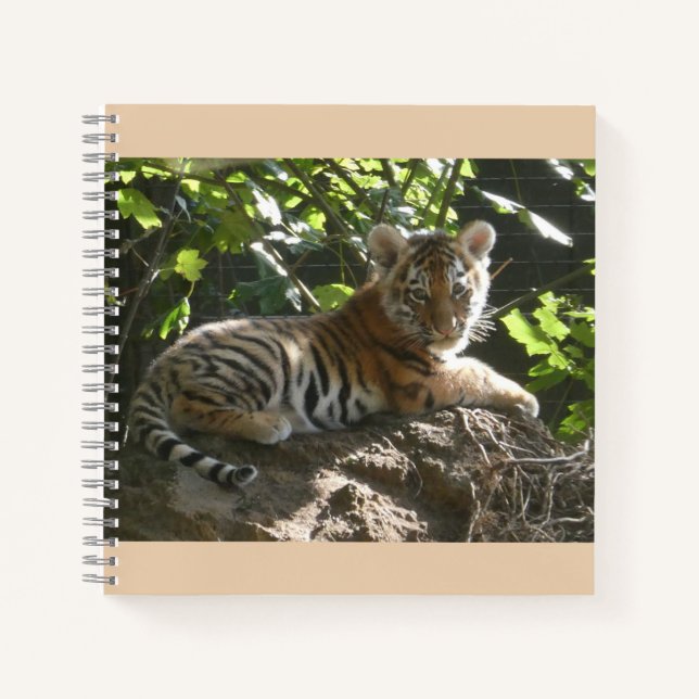 Cuaderno El tigre bebé en la computadora portátil Sun (Anverso)