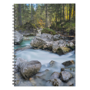 Cuaderno El torrente Ramsauer Ache