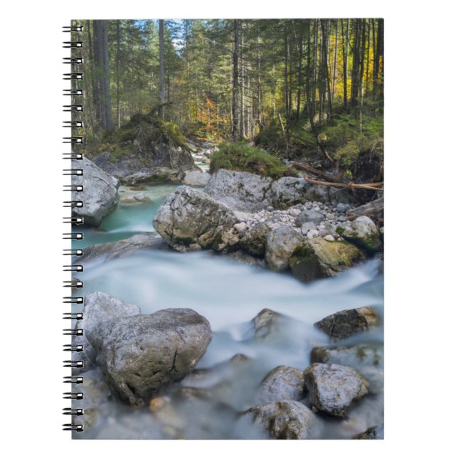 Cuaderno El torrente Ramsauer Ache (Frente)