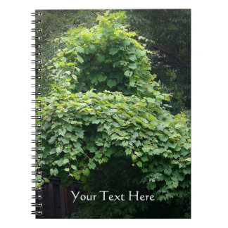 Cuaderno El trono de la naturaleza