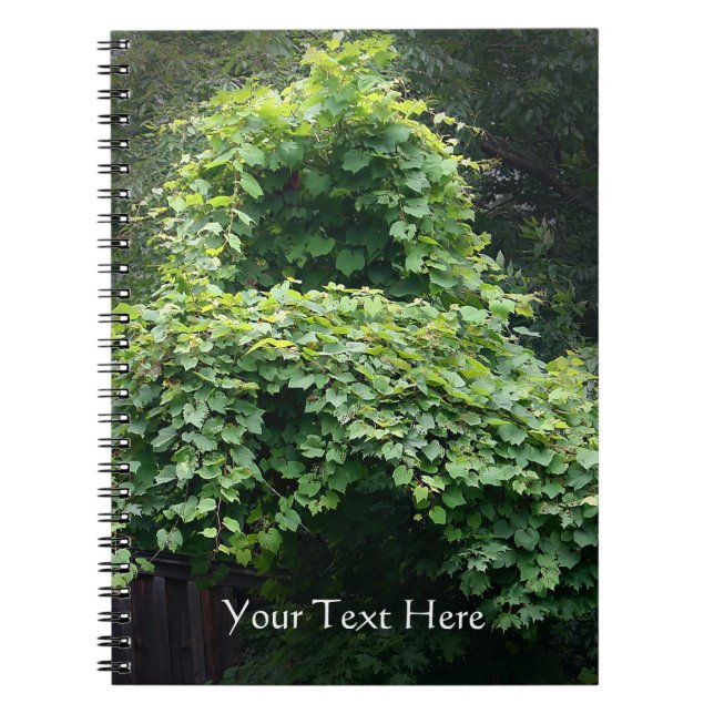 Cuaderno El trono de la naturaleza (Frente)