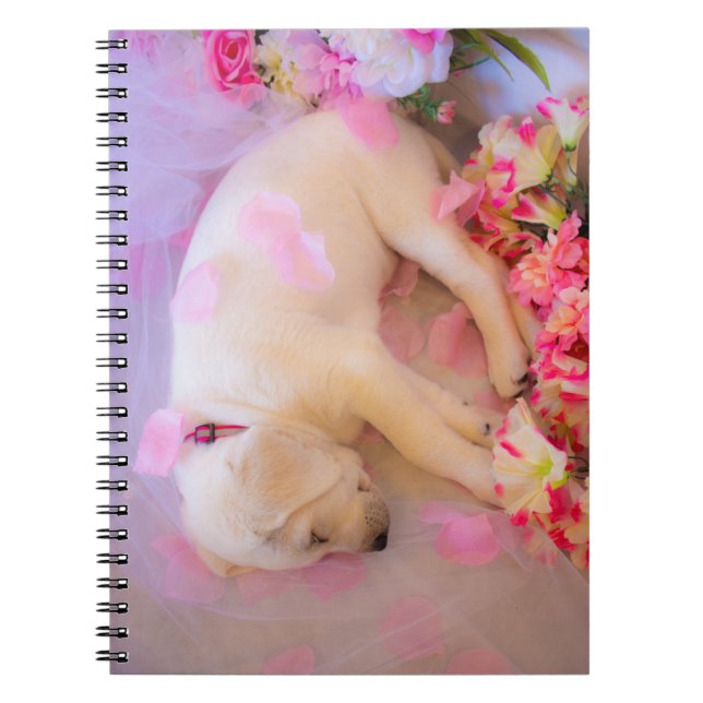 Cuaderno El velo espeluznante 01 (Frente)