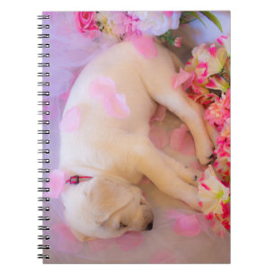Cuaderno El velo espeluznante 01