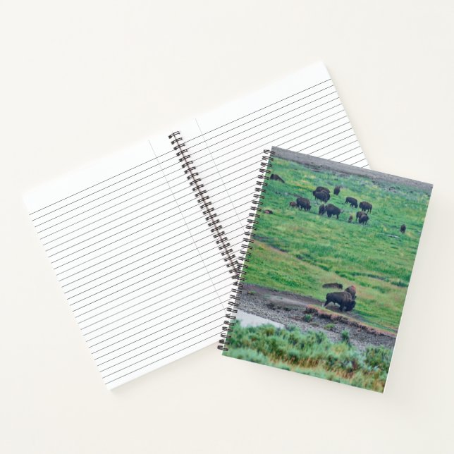 Cuaderno El veneno estadounidense (Interior)
