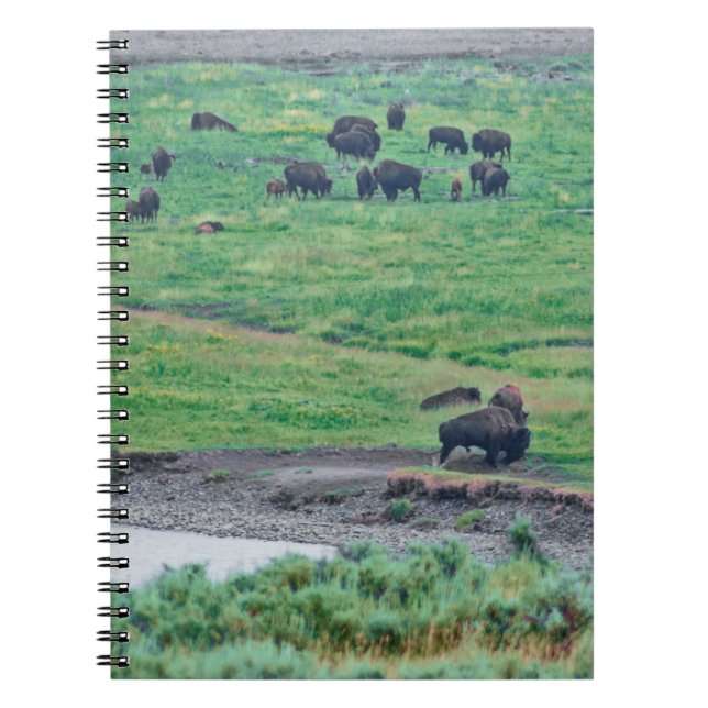 Cuaderno El veneno estadounidense (Frente)