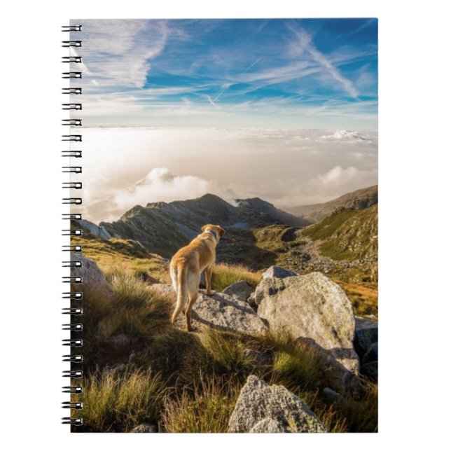 Cuaderno El viaje (Frente)