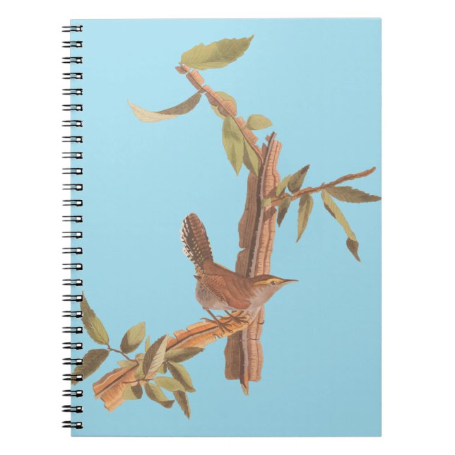 Cuaderno El viejo pájaro de la canción Wren de Audubon (Frente)