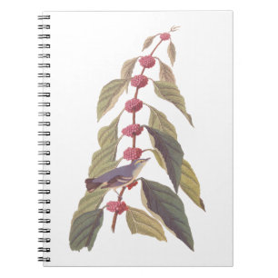 Cuaderno El viejo pájaro de la guerra verde azul de Audubon