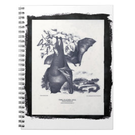 Cuaderno El Zorro Volador