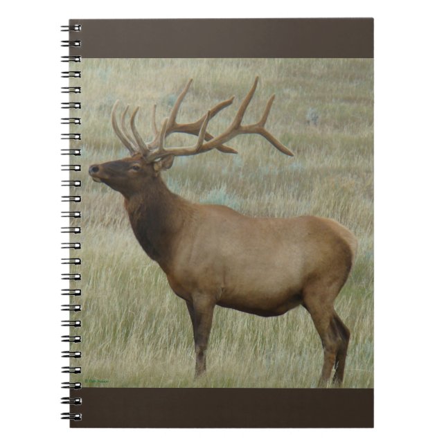 Cuaderno Elca toro E8 en terciopelo (Frente)
