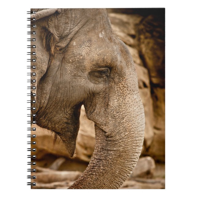 CUADERNO ELEFANTE (Frente)