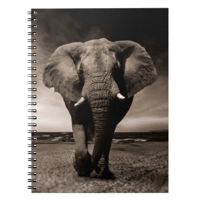 Cuaderno Elefante (Frente)