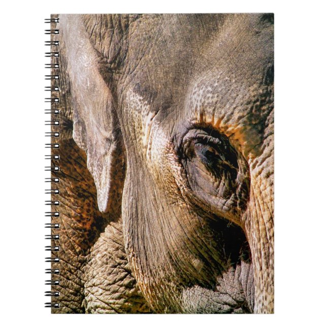 CUADERNO ELEFANTE (Frente)