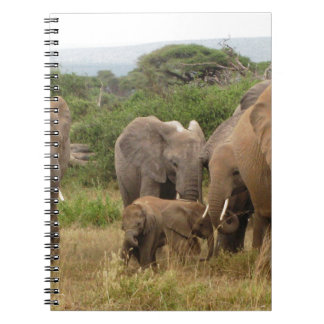 Cuaderno elefante