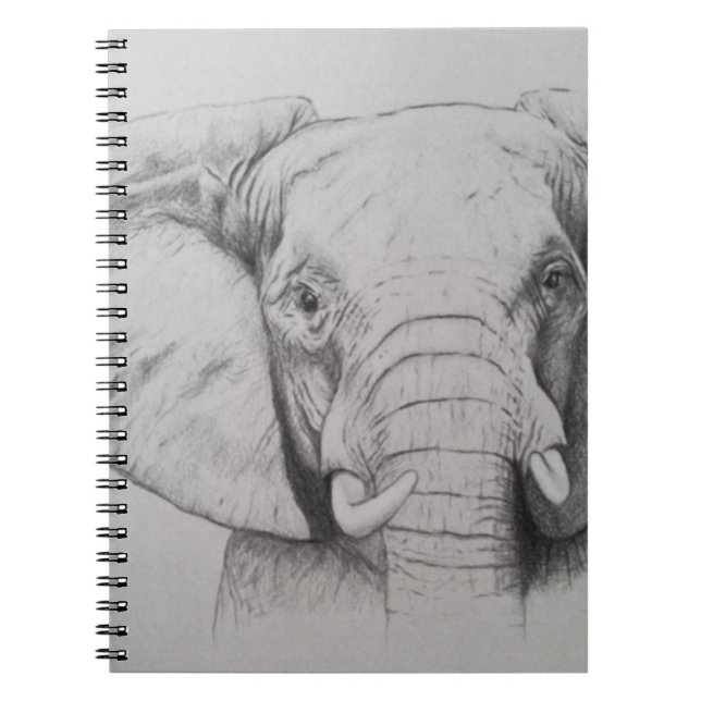 Cuaderno Elefante 2011 (Frente)