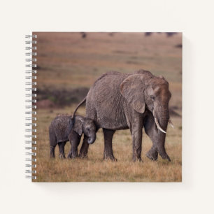 Cuaderno Elefante africano con cría