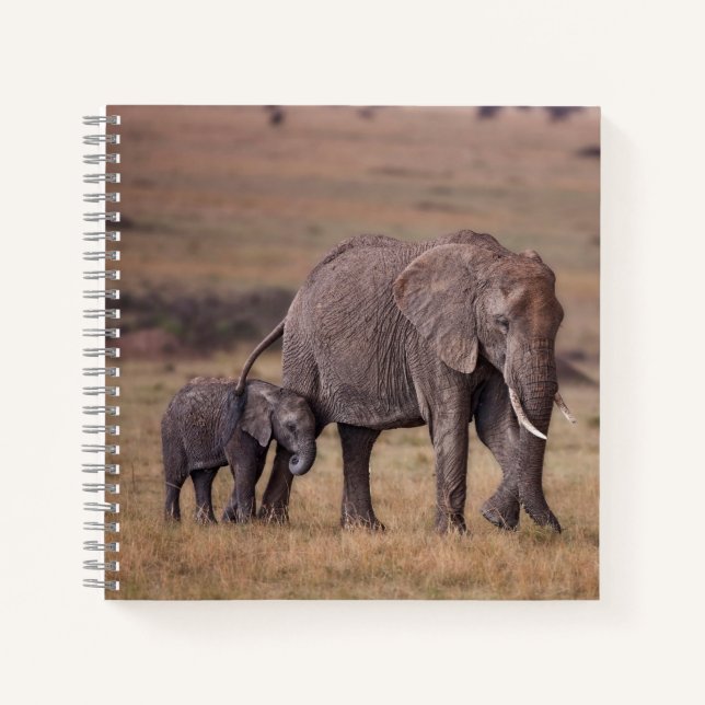 Cuaderno Elefante africano con cría (Anverso)