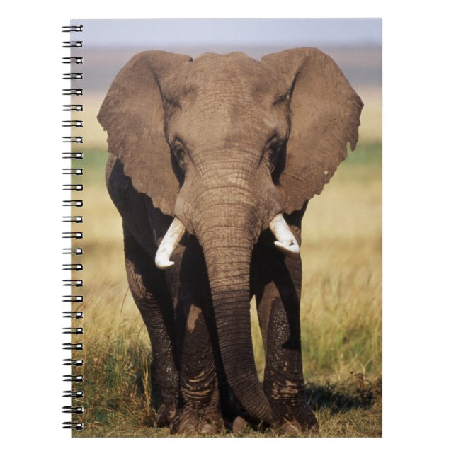 Cuaderno Elefante africano de sabana (Frente)