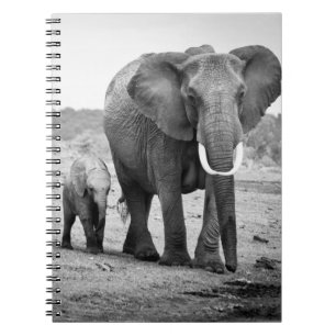 Cuaderno Elefante africano y becerros el Kenia, África