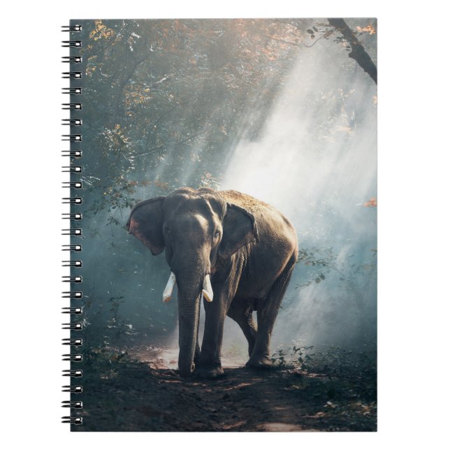 Cuaderno Elefante asiático en un aclaramiento forestal ilum (Frente)