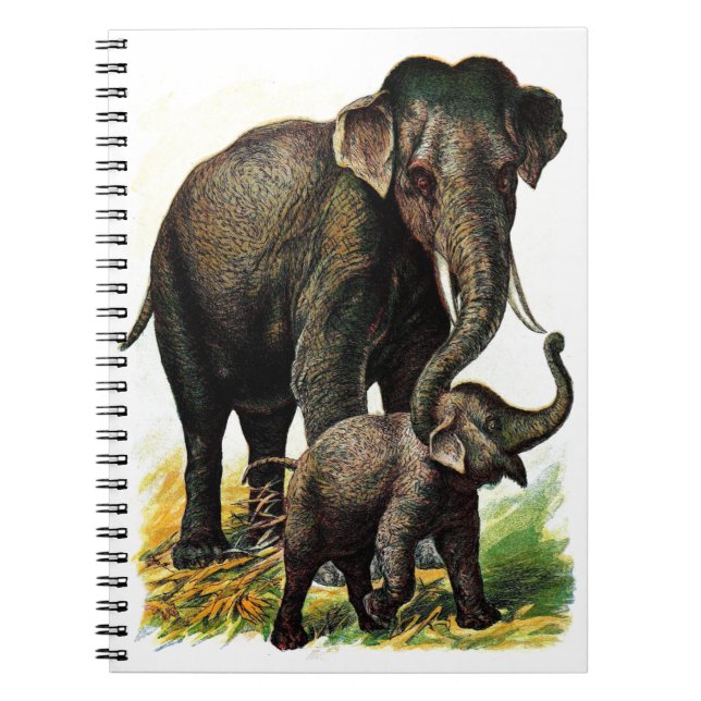 Cuaderno Elefante de la madre con el becerro (Frente)