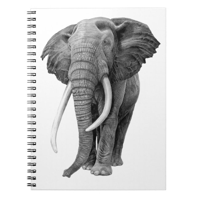 Cuaderno Elefante de toros - Dibujo a lápiz (Frente)