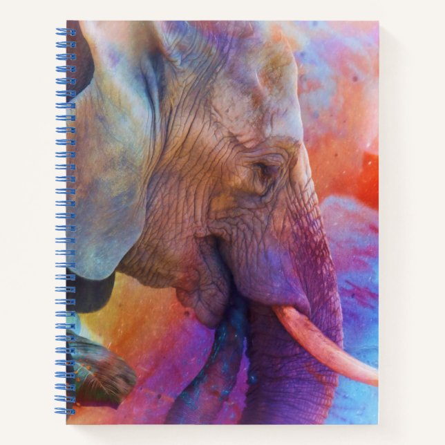 CUADERNO ELEFANTE RECORDANDO AGUAS SAGRADAS (Anverso)