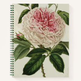 Cuaderno Elegante Alte Vintage Rose Blume