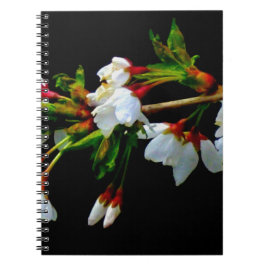 Cuaderno Elegante Blossom blanco blanco negro floreciente