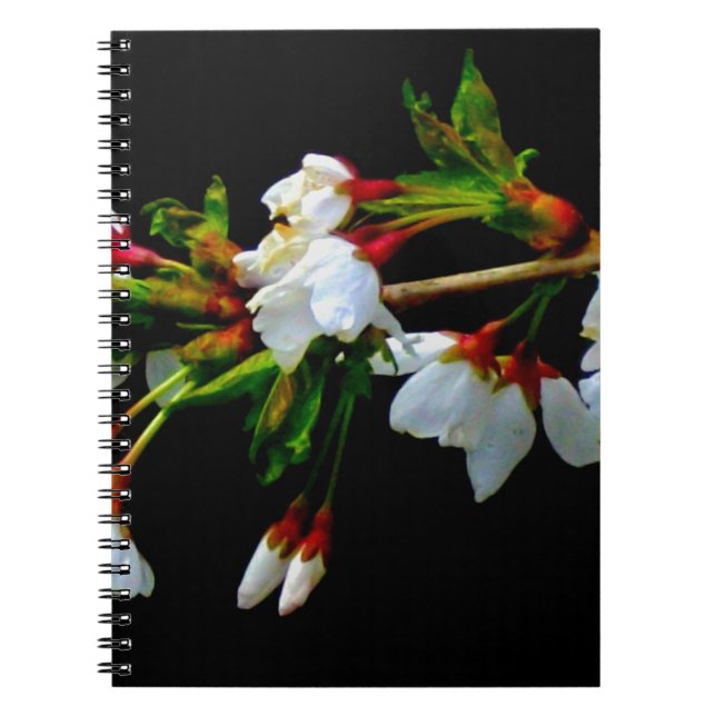 Cuaderno Elegante Blossom blanco blanco negro floreciente (Frente)
