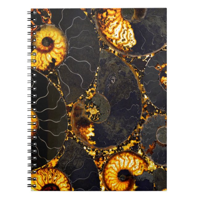 Cuaderno Elegante diseño náutico dorado (Frente)