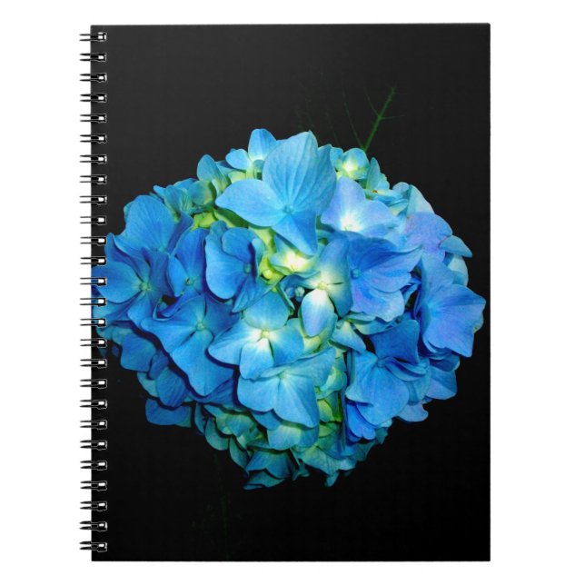 Cuaderno Elegante flor azul hidrangea floral (Frente)