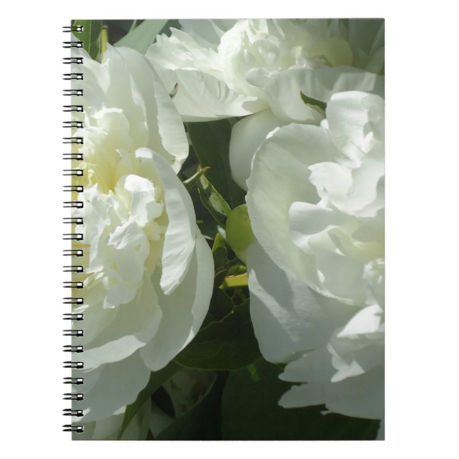 Cuaderno Elegante foto de una joya blanca floral (Frente)