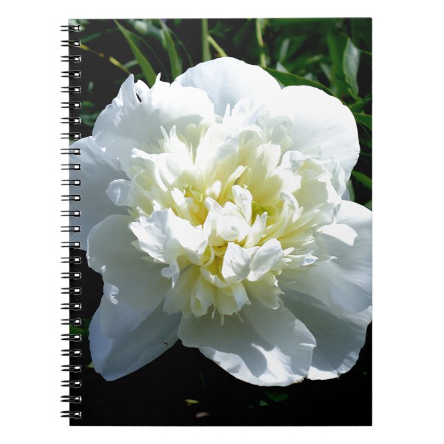 Cuaderno Elegante foto de una joya blanca floral (Frente)