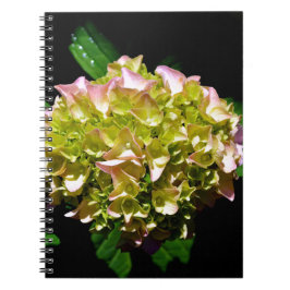 Cuaderno Elegante hidrangea floral verde rosa verde suave