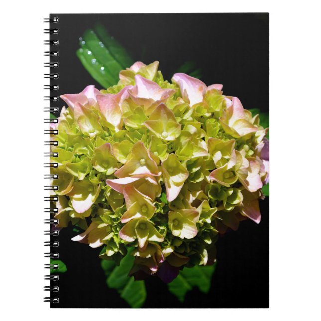 Cuaderno Elegante hidrangea floral verde rosa verde suave (Frente)