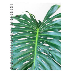 Cuaderno Elegante hoja de hoja de palma selva tropical selv