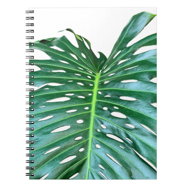 Cuaderno Elegante hoja de hoja de palma selva tropical selv (Frente)