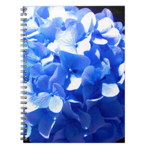 Cuaderno Elegante hormigas florales azules de cobalto