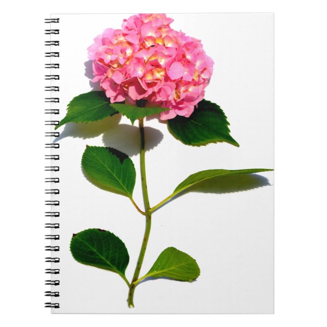 Cuaderno Elegante hormigón rosa rosa floral rosa (Frente)