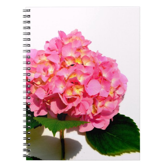 Cuaderno Elegante hormigón rosa rosa floral rosa (Frente)