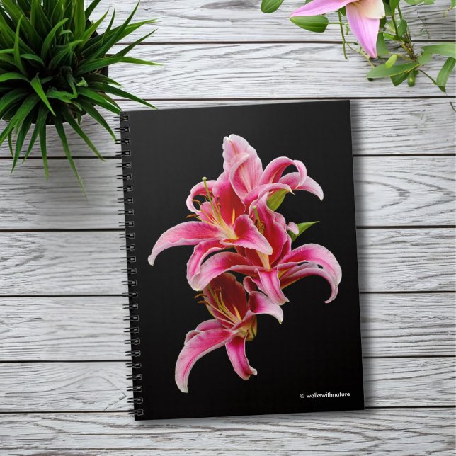 Cuaderno Elegante Lilies Orientales Rosa (Elegant Pink Oriental Lilies Journal Cover Photo)