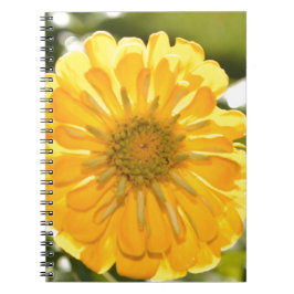 Cuaderno Elegante margarita floral amarilla