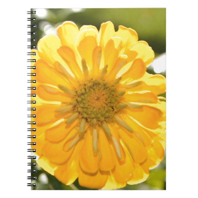Cuaderno Elegante margarita floral amarilla (Frente)