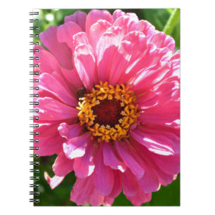 Cuaderno Elegante margarita rosa floral retro rosa