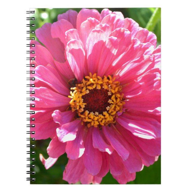 Cuaderno Elegante margarita rosa floral retro rosa (Frente)